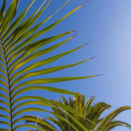 Apartamento Jumilla Vista Mar 23 Playa del Inglés Eksteriør bilde